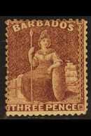 1873  3d Brown-purple Britannia, SG 63, Fresh Unused Without Gum. For More Images, Please Visit Http://www.sandafayre.co - Barbados (...-1966)