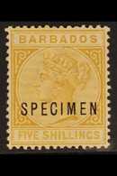 1882-86  5s. Bistre Queen, Overprinted "SPECIMEN", SG 103s, Fine Mint. For More Images, Please Visit Http://www.sandafay - Barbados (...-1966)