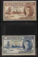 1946 SPECIMENS.  Victory Set, Perforated "Specimen", SG 123s/4s, Very Fine Mint, Large Part Og. (2 Stamps) For More Imag - Bermuda