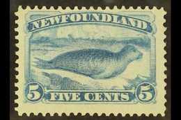 1880-82  5c Pale Dull Blue Common Seal, Perf 12, SG 48, Fine Mint With Original Gum. For More Images, Please Visit Http: - Otros & Sin Clasificación