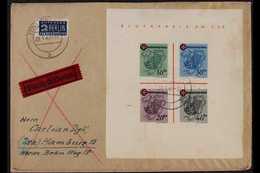 FRENCH ZONE  RHEINLAND-PFALZ 1949 (28 May) Express Cover Addressed To Hamburg, Bearing 1949 Red Cross Mini-sheet (Michel - Other & Unclassified