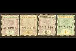 1895-99  Key Plate "SPECIMEN" Overprints Showing Broken "M" (position 41), ½d, 2d (no Gum), 8d And 1s (thin), Scarce. (4 - Grenada (...-1974)