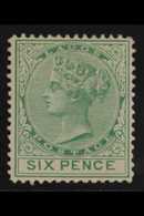 1876  6d Green, Wmk CC, Perf 14, SG 15, Very Fine Mint. For More Images, Please Visit Http://www.sandafayre.com/itemdeta - Nigeria (...-1960)