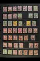 JOHORE  1891-1960 ALL DIFFERENT FINE USED Collection On Stockleaves. Note 1891-94 Complete Set, 1894 Surcharges Set, 189 - Other & Unclassified