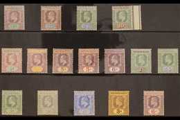 1902-11 MINT KEVII SELECTION  Presented On A Stock Card & Includes 1902 CA Wmk Range To 2s6d & 10s, 1905-07 Range With M - Nigeria (...-1960)