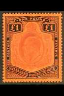 1908  £1 Purple And Black On Red, Ed VII, SG 81, Very Fine Mint. For More Images, Please Visit Http://www.sandafayre.com - Nyasaland (1907-1953)