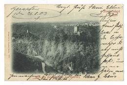 Manderscheid Eifel Blick Vom Belvedere Gegen Den Moserberg 1903 - Manderscheid