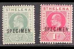 1902 SPECIMENS.  KEVII Definitive Complete Set, Overprinted "SPECIMEN", SG 53s/54s, Very Fine Mint (2 Stamps) For More I - Sint-Helena