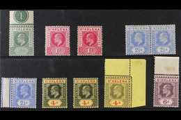 1902-11 NHM DEFINITIVES.  An Attractive Selection Of KEVII Definitives Presented On A Stock Card That Includes The 1902  - St. Helena