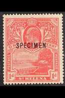 1911 UNISSUED  1d Red "The Wharf", MCA Wmk, Overprinted "SPECIMEN", Prepared For Use But Never Issued, SG 71s, Fine Mint - Isla Sta Helena