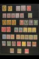 1869-1946 FRESH MINT ASSEMBLY  A Mint Group On Stock Pages, Includes 1895 Brooke Set Of Four, 1918 Range To $1, 1934-41  - Sarawak (...-1963)