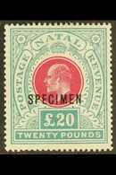 NATAL  1902 £20 Red And Green, Ed VII, Ovptd "Specimen", SG 145bs, Very Fine Mint, Large Part Og. For More Images, Pleas - Unclassified