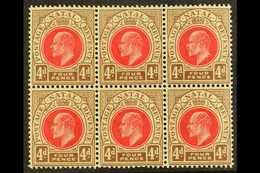 NATAL  1902-3 4d Carmine & Cinnamon, Wmk Crown CA , BLOCK OF SIX, SG 133, Very Slightly Toned Gum, Otherwise Never Hinge - Unclassified