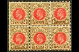 NATAL  1902-3 4d Carmine & Cinnamon, Wmk Crown CA , BLOCK OF SIX, SG 133, Very Slightly Toned Gum, Otherwise Never Hinge - Sin Clasificación