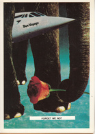 CONCORDE Entre Les Pates D'un Elephant " FORGET ME NOT " - 1946-....: Modern Era