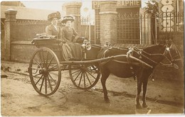 CURIOSITE PHOTOGRAPHIQUE Carte Photo Devant Chez Un Photographe Attelage Cheval à 3 Pattes - Photographs