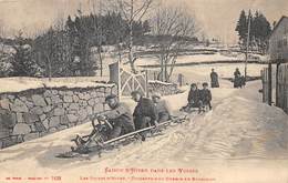 Thème   Sports D'hiver       Bobsleigh.   Descente D'un Chemin  Dans Les Vosges  88   (voir Scan) - Wintersport