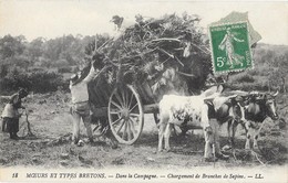 MOEURS ET TYPES BRETONS Bois Chargement Des Branches De Sapin Attelage De Boeufs Gros Plan - Autres & Non Classés