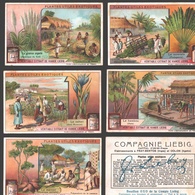 Liebig - Vintage Chromos - Series Of 6 / Série Complète - Plantes Utiles Exotiques - En Français - Liebig