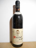 Merlot Del Piave 1964 - Vin