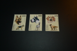 K24842 -set MNH Belarus 2003  - Dogs - Dogs