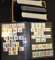 BRITISH COMMONWEALTH Collection Housed In Four Large Stock Books, Mainly QEII M Or UM Plus Odd KGVI Set, Comprises Briti - Andere & Zonder Classificatie