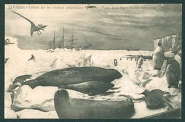 PENGUINS France - 1906 Postcard 'Le 'Gauss' Entouré Par Les Animaux Antarctiques Palais De La Mer - Section Allemande Us - Altri & Non Classificati
