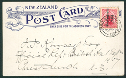 PENGUINS New Zealand - 'Canterbury Times' Postcard Of Emperor Penguins Superb & Very Fresh Used, Addressed To J.J.Kinsey - Altri & Non Classificati