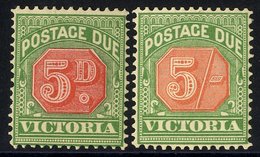 1900-04 Postage Dues 5d & 5s Scarlet & Deep Green, M (both Gum Toned), SG.D30 & D33. Cat. £249. (2) - Autres & Non Classés