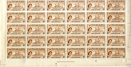 1955-57 6d Deep Yellow Brown Lower Half Sheet Of Thirty, UM Showing Marginal Inscription & Plate Number (tear In Lower R - Sonstige & Ohne Zuordnung