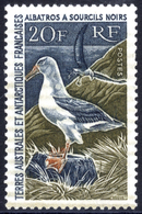 FRENCH SOUTHERN & ANTARCTIC TERRITORIES 1963 20f Albatros UM (gum A Little Toned), SG.31, Cat. £450. - Autres & Non Classés