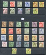 1903 CCA Set, M (½d Is FU, 5s Is Creased), SG.14/23, 1916-22 MCCA Set M, SG.49/59, 1922-29 MSCA Set, M (odd Lower Value  - Sonstige & Ohne Zuordnung