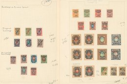 Russian Refugees Post Collection On Leaves A Mint Range Of 138 Stamps, All Different And Includes Inverted Surcharges, C - Sonstige & Ohne Zuordnung