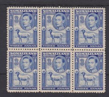 SOMALILAND 1938 3a IN UNMOUNTED MINT BLOCK OF 6 SG 96 X 6 Cat £108 - Somaliland (Protectoraat ...-1959)