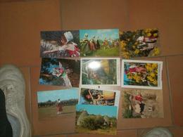 CAB0029 PROVENCE Folklore : Lot De 10 CPM/CPSM Non écrites - 5 - 99 Postcards