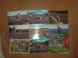 CAB0031 PROVENCE Lavande : Lot De 15 CPM/CPSM Non écrites - 5 - 99 Postcards