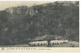 Le Chemin De Fer De La Grotte De Han - Les Rochers De Faule - Assesse