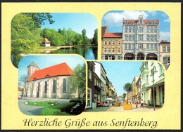 D1761 - TOP Senftenberg - Verlag Bild Und Heimat Reichenbach - Qualitätskarte - Senftenberg