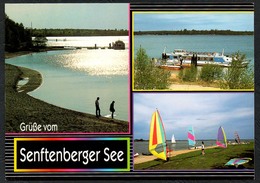 D1245 - TOP Senftenberg See - Verlag Bild Und Heimat Reichenbach - Qualitätskarte - Senftenberg