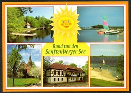 C2202 - TOP Senftenberg Senftenberger See - Verlag Bild Und Heimat Reichenbach - Qualitätskarte - Senftenberg