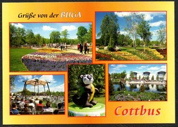 D1836 - TOP Cottbus BUGA - Verlag Bild Und Heimat Reichenbach - Qualitätskarte - Spremberg