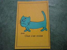 Chat S'est Croisé - Sine