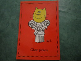 Chat Piteau - Sine