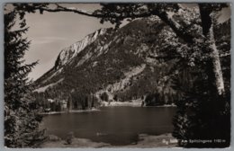 Schliersee - S/w Am Spitzingsee - Schliersee