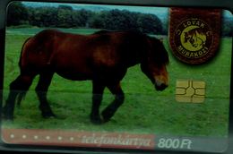 FAUNA 2005 PHONECARDS ARAB HORSES USED VF!! - Paarden