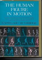 The Human Figure In Motion - Eadweard Muybridge - Pré Cinéma - Dover Publications 1957 - Sonstige & Ohne Zuordnung