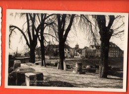 MYF-23 Avenches, Terrasse Et Le Musée Phototypie, Non Circulé - Avenches