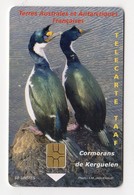 TAAF TERRES AUSTRALES REF TAAF-38 CORMORANS DE KERGUELEN 50U  Tirage 2000 Ex - TAAF - Territorios Australes Franceses