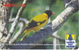 TARJETA DE SRY LANKA DE Rs.100 DE UN CEYLON BLACK ORIOLE (25SRLA) BIRD-PAJARO - Sri Lanka (Ceilán)