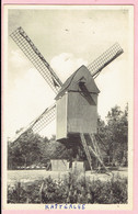 Kasterlee - Oude Standaard Molen - Kasterlee